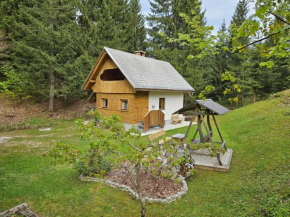 Lodge In Koprivnik